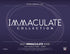 2023 Panini Immaculate WWE Wrestling Hobby Box